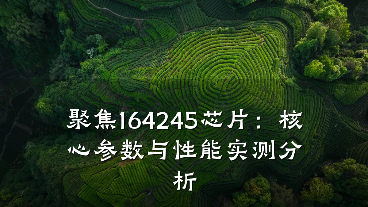 聚焦164245芯片:核心参数与性能实测分析