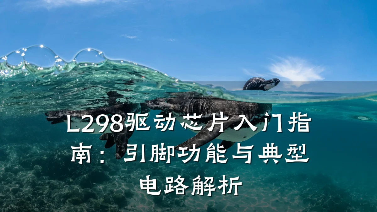 L298驱动芯片入门指南:引脚功能与典型电路解析