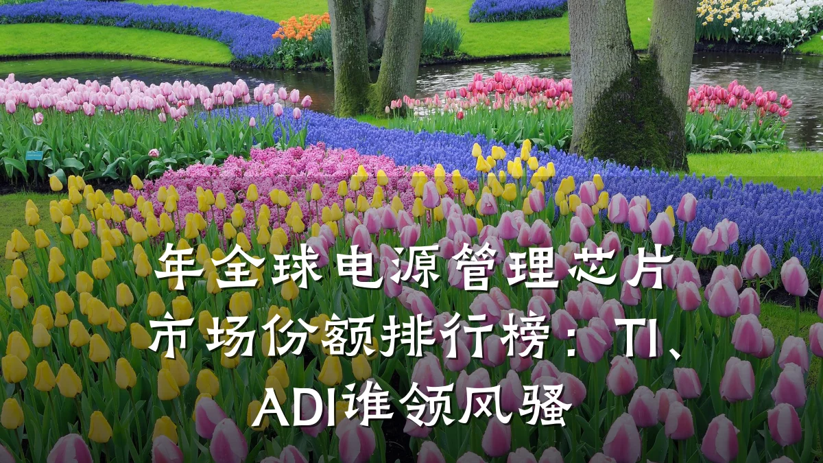 年全球电源管理芯片市场份额排行榜:TI、ADI谁领风骚
