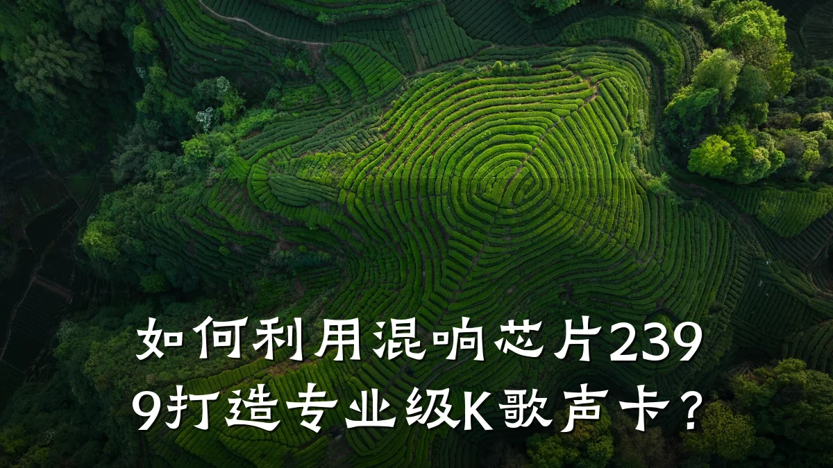 如何利用混响芯片2399打造专业级K歌声卡?