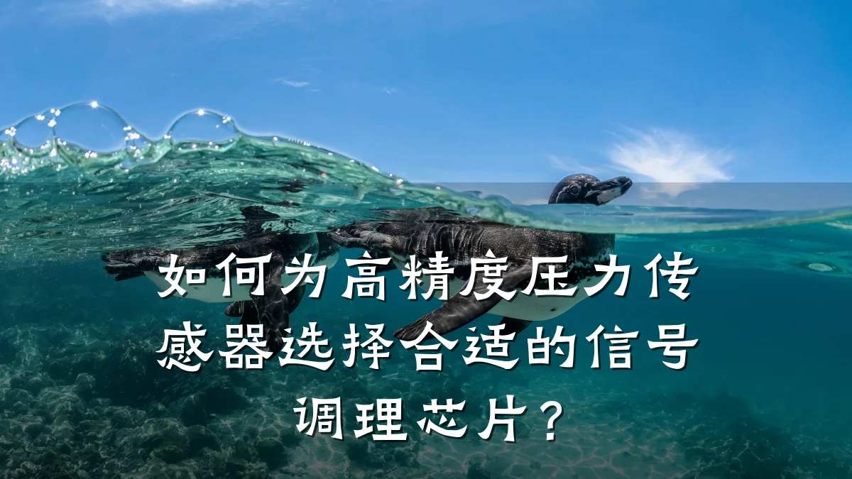 如何为高精度压力传感器选择合适的信号调理芯片?
