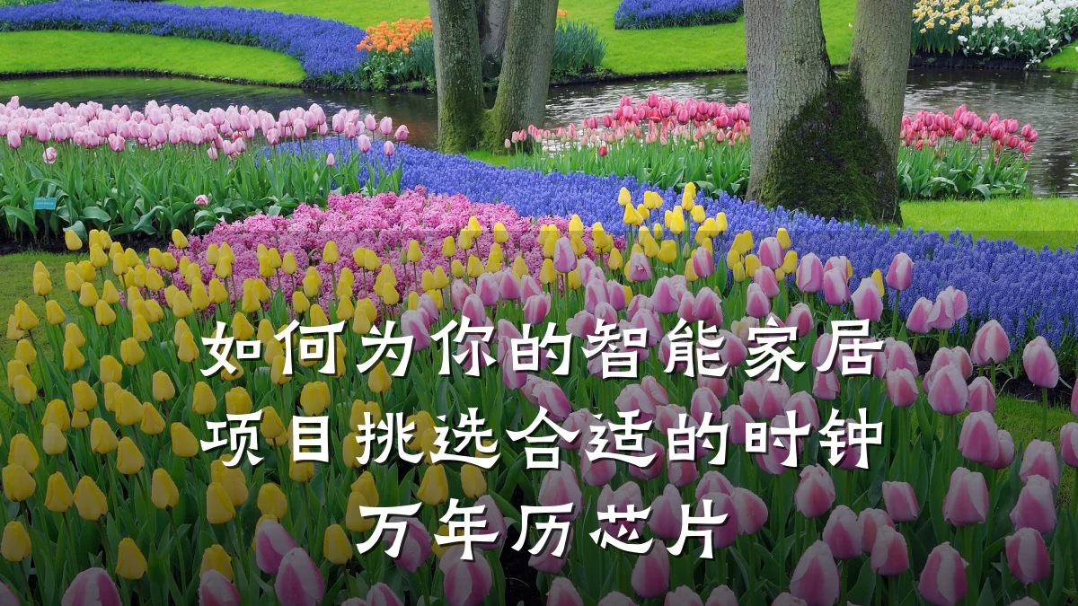 如何为你的智能家居项目挑选合适的时钟万年历芯片