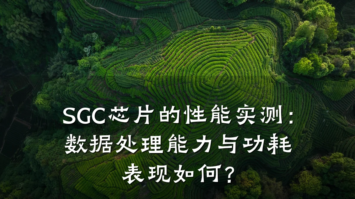 SGC芯片的性能实测:数据处理能力与功耗表现如何?