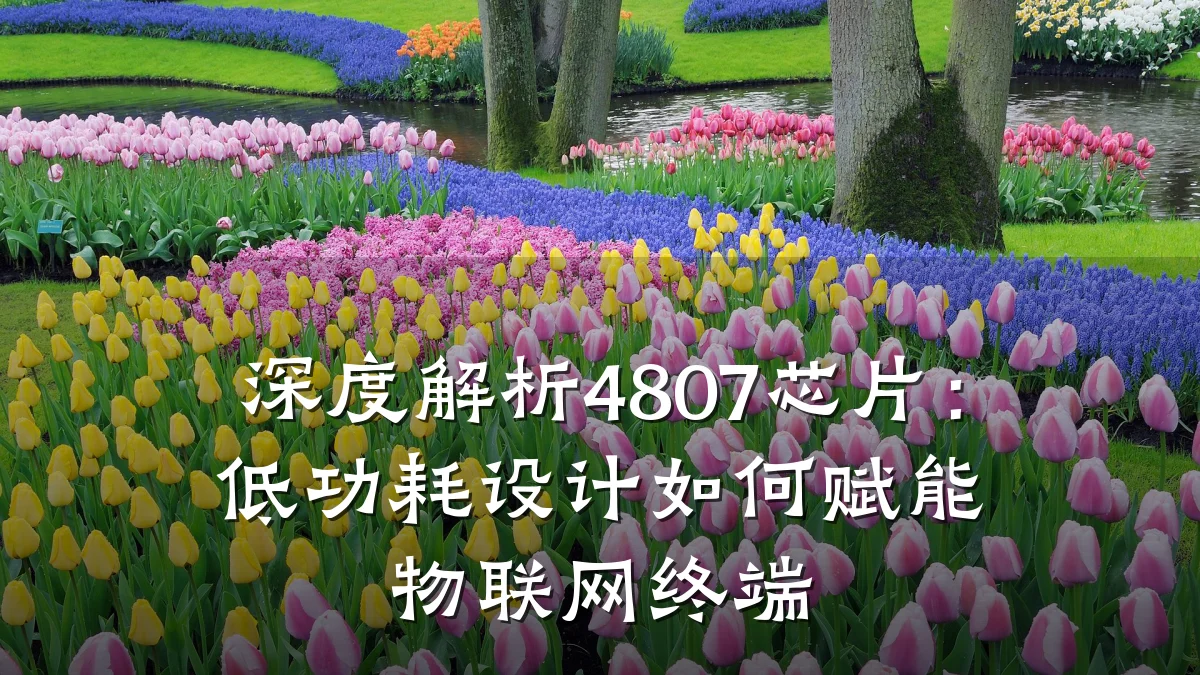 深度解析4807芯片:低功耗设计如何赋能物联网终端