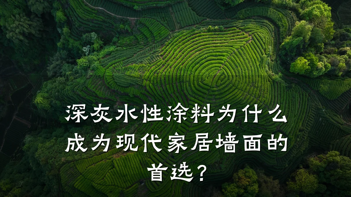 深灰水性涂料为什么成为现代家居墙面的首选?