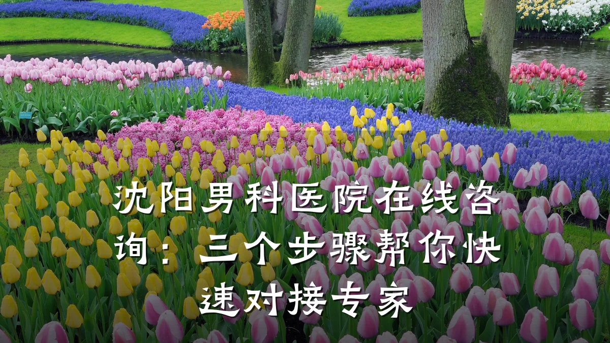 沈阳男科医院在线咨询：三个步骤帮你快速对接专家