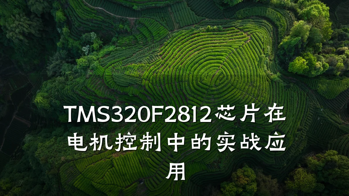 TMS320F2812芯片在电机控制中的实战应用