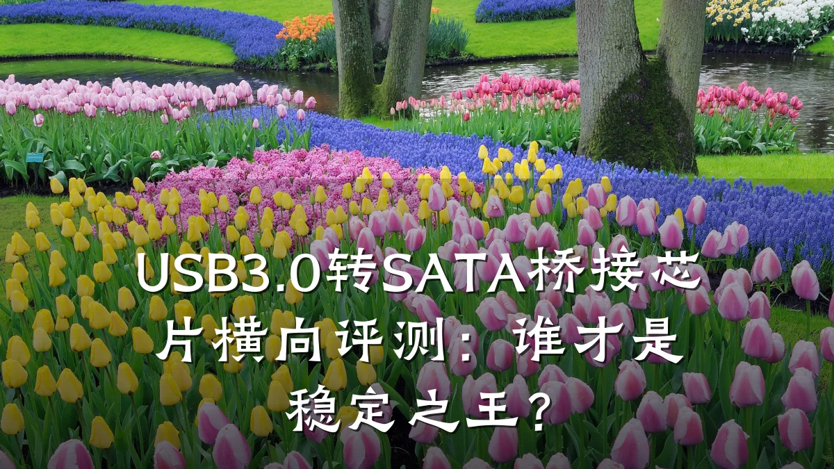 USB3.0转SATA桥接芯片横向评测:谁才是稳定之王?