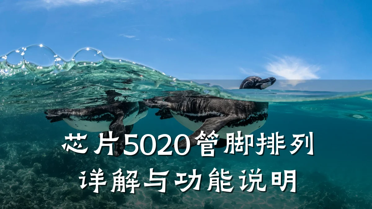 芯片5020管脚排列详解与功能说明