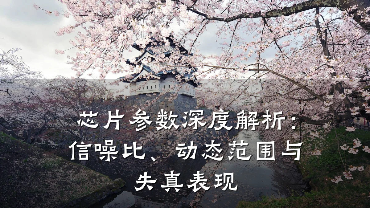 芯片参数深度解析：信噪比、动态范围与失真表现