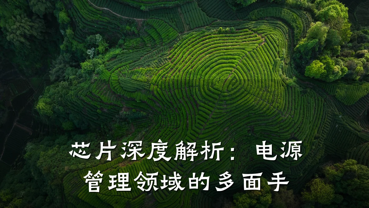 芯片深度解析:电源管理领域的多面手