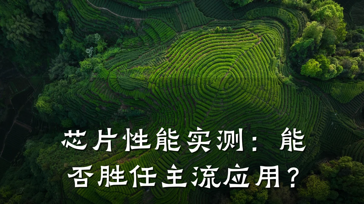 芯片性能实测:能否胜任主流应用?