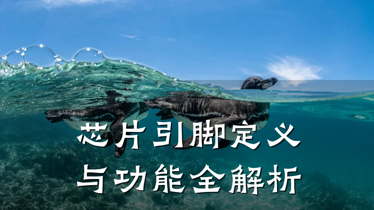 芯片引脚定义与功能全解析