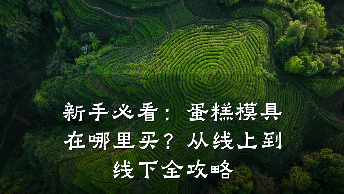 新手必看：蛋糕模具在哪里买？从线上到线下全攻略