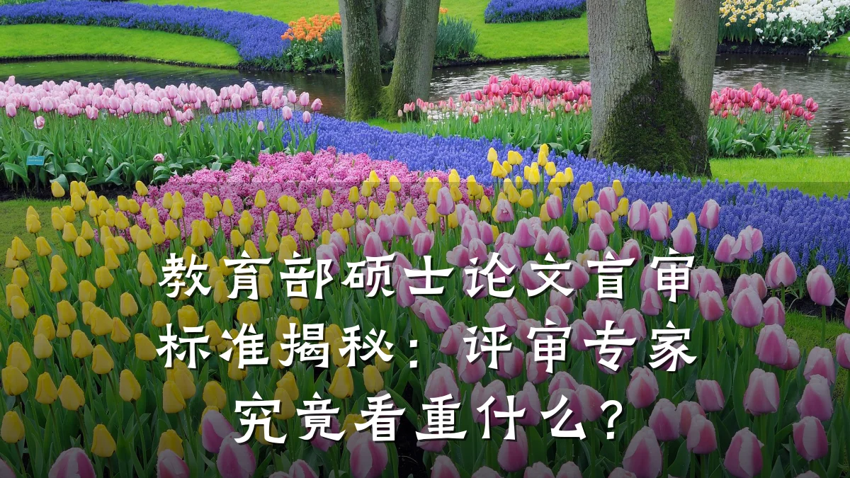 教育部硕士论文盲审标准揭秘：评审专家究竟看重什么？