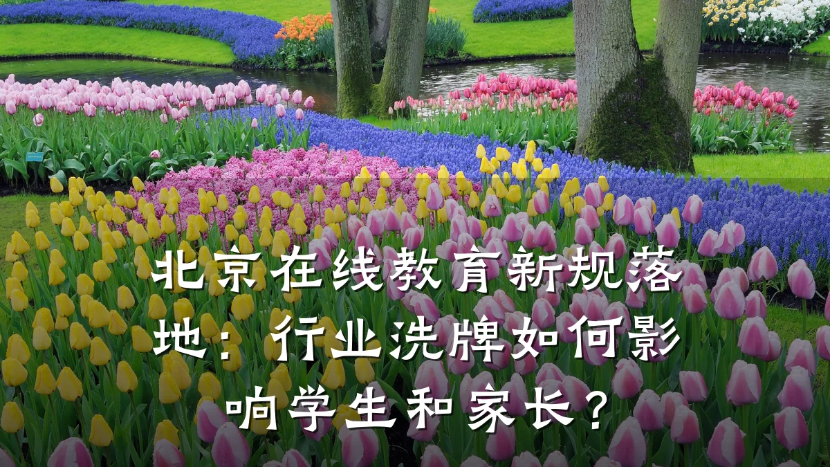 北京在线教育新规落地:行业洗牌如何影响学生和家长?