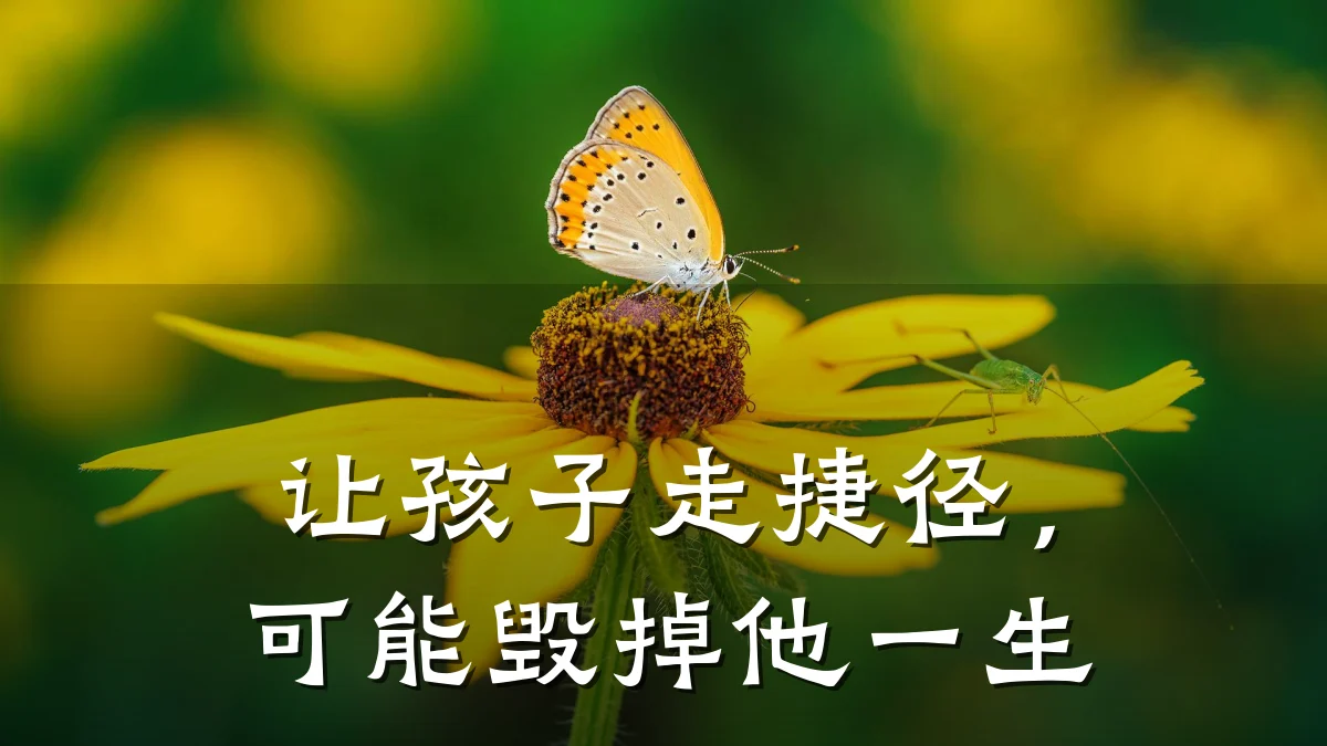 让孩子走捷径，可能毁掉他一生