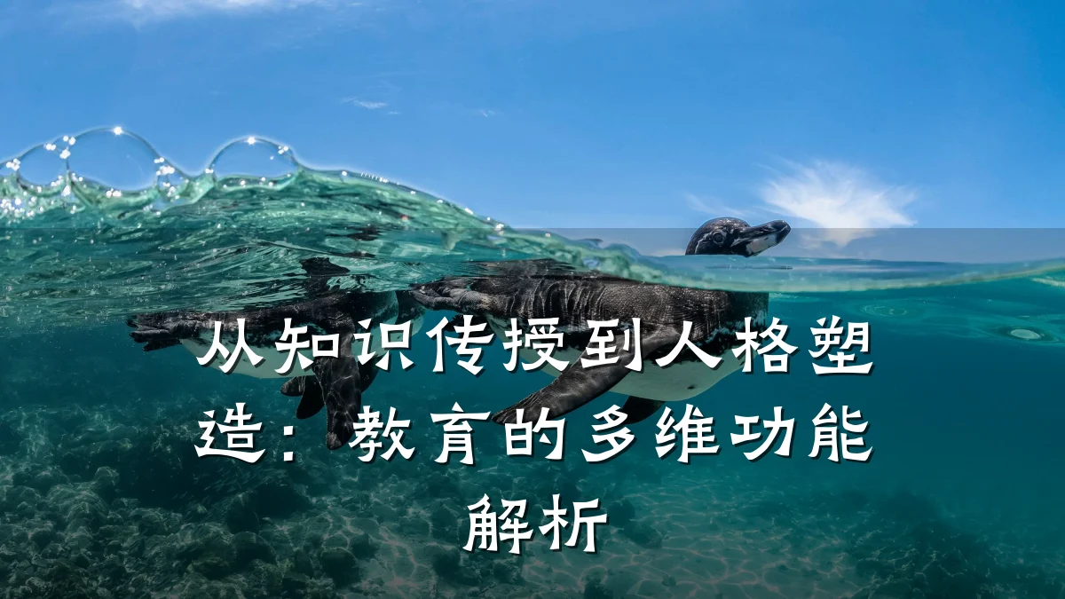从知识传授到人格塑造:教育的多维功能解析