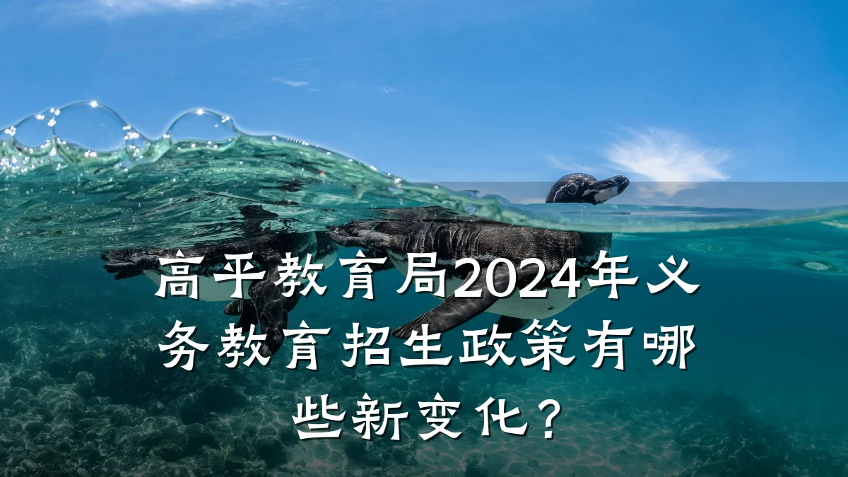 高平教育局2024年义务教育招生政策有哪些新变化？