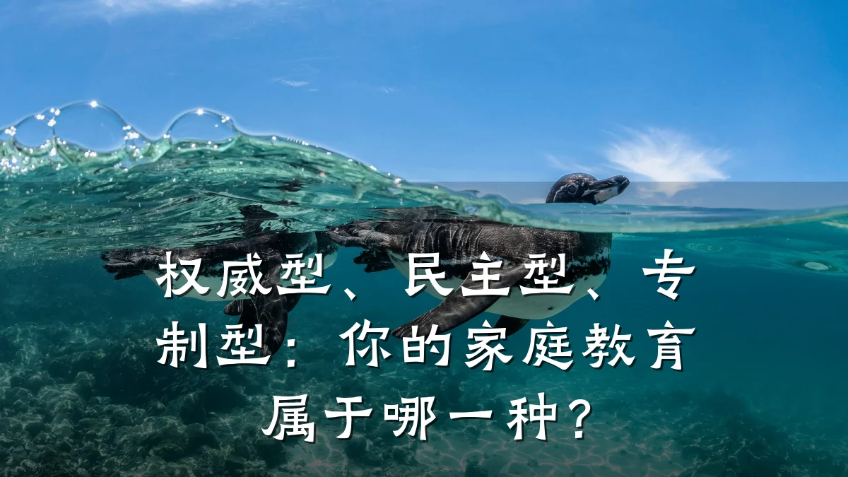 权威型、民主型、专制型：你的家庭教育属于哪一种？