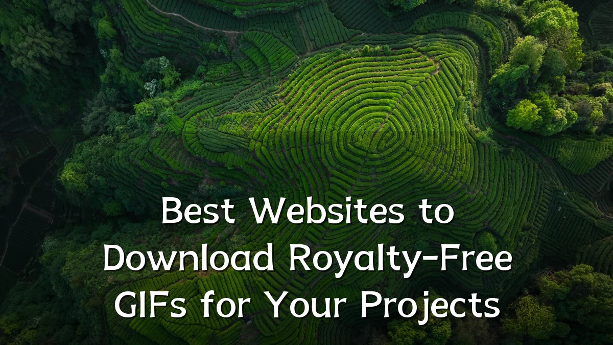 Best Websites to Download Royalty-Free GIFs for Your Projects
