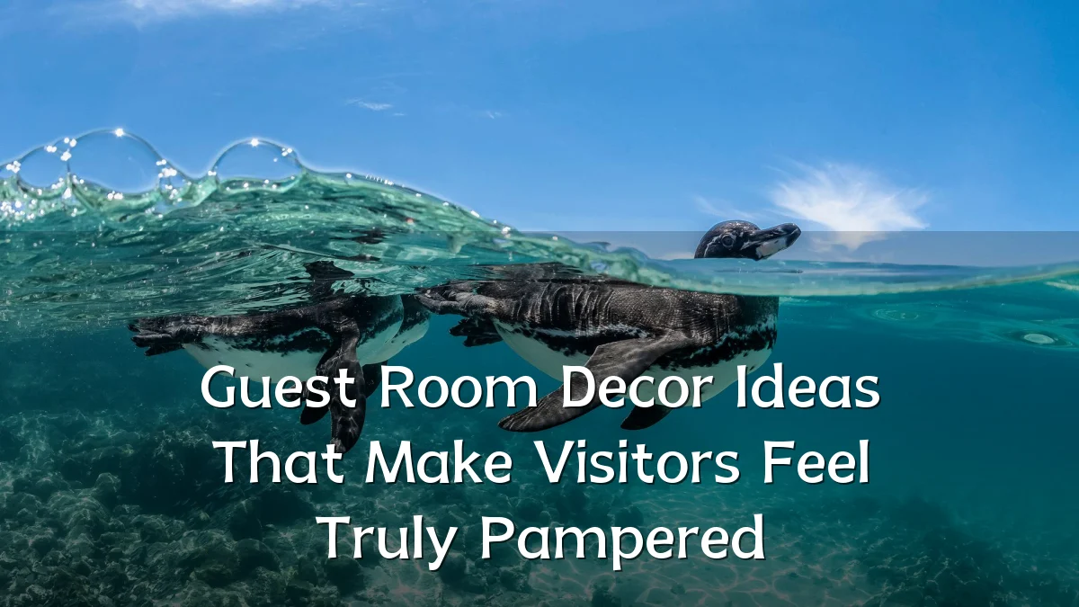 Guest Room Decor Ideas That Make Visitors Feel Truly Pampered