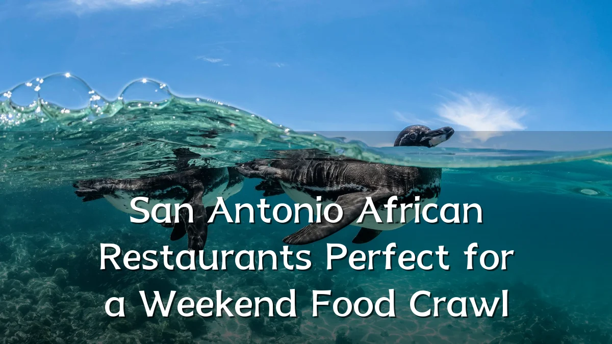 San Antonio African Restaurants Perfect for a Weekend Food Crawl